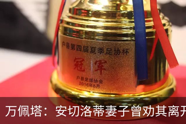 万佩塔：安切洛蒂妻子曾劝其离开巴西队，建议他享受生活