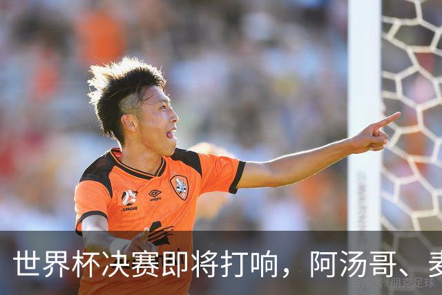 世界杯决赛即将打响，阿汤哥、麦当娜、夏奇拉、比伯等巨星已确定出席表演，执行制片人：演出汇集全球顶尖艺人，希望能代表整个世界