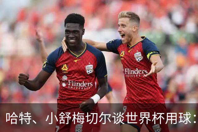 哈特、小舒梅切尔谈世界杯用球：这球肯定有问题，远射太多了