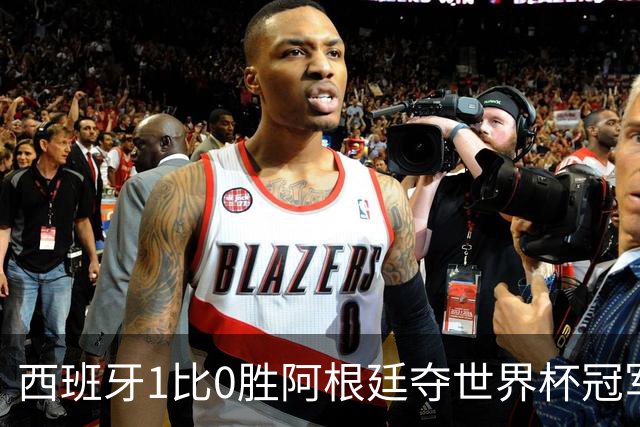 西班牙1比0胜阿根廷夺世界杯冠军，托雷斯加时绝杀